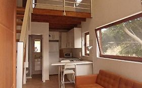Casa Del Arbol De Bibiana 1